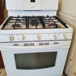 Samsung Convection Gas Range