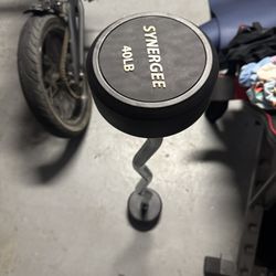 40lb curl bar 