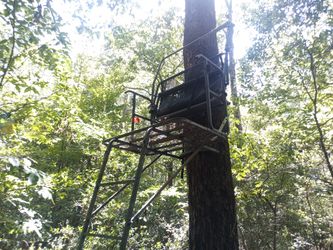 Deer Stand