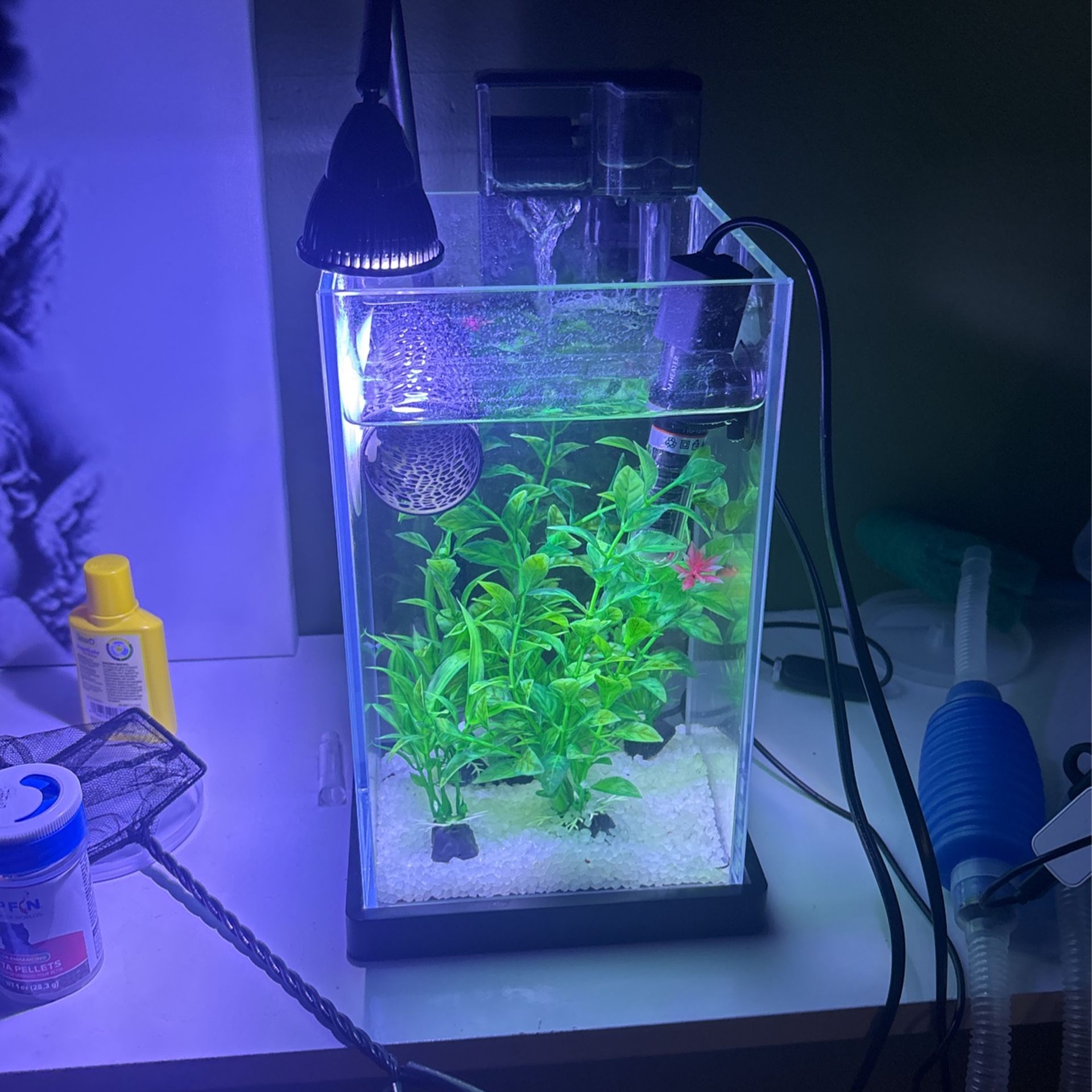 3 Gallon Betta Fish Tank