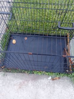 Black Cage with black tray