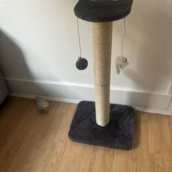 Kitty Cat Scratcher 