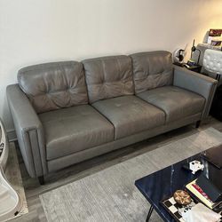 Gray Baer's furniture couch!
