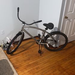 Adult Bike 