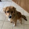 Winnie
