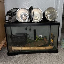 Reptile Tank With Lights Included!