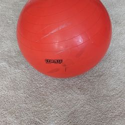 Exercise Ball 16" Diameter (Free?)