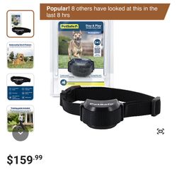 NWT PET SAFE STAY & PLAY COLLAR