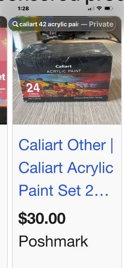 New Set Of 42 Acrylic Paint Set