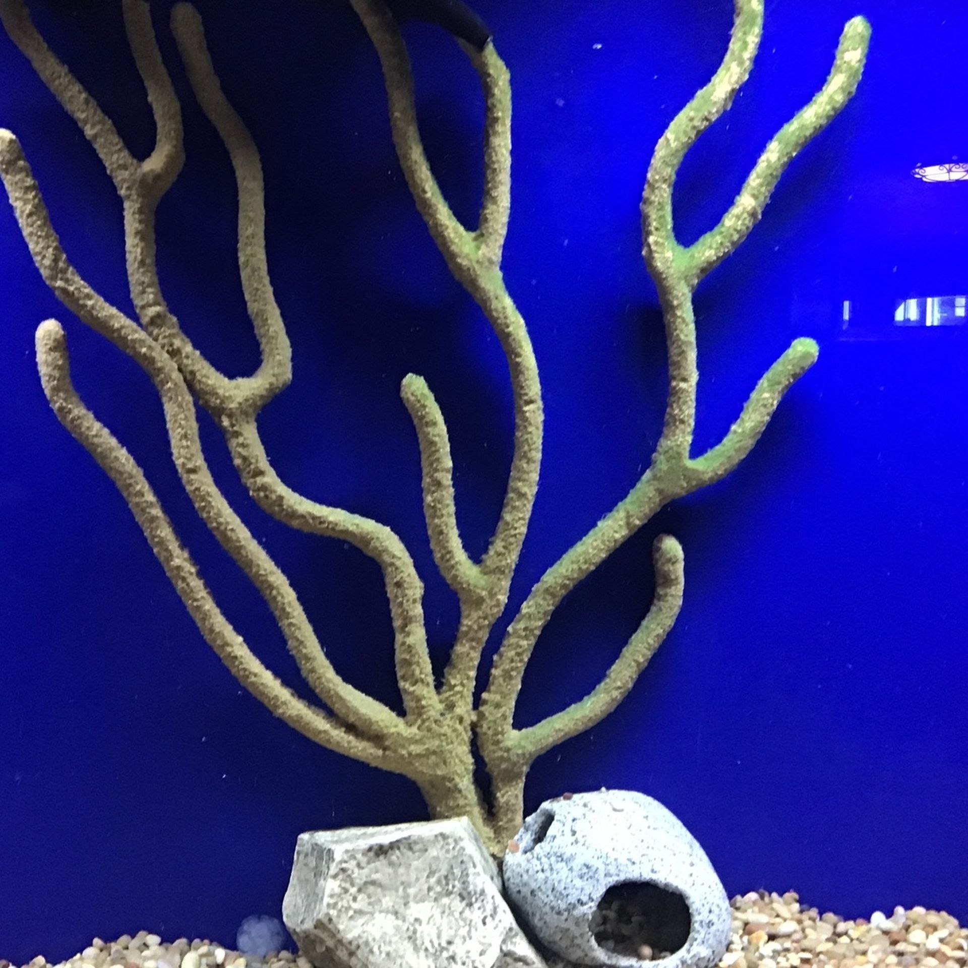 Artificial Coral Yellow 24inchs