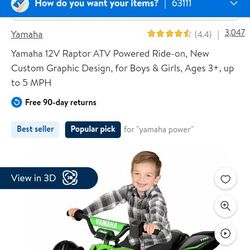 Yamaha Raptor 12v