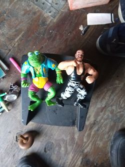 Wwf And 1 Wave Ninja Turtles Action Figures