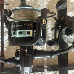 Penn Pursuit IV 4000LE Combo 