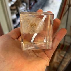 Dandelion Lucite Paperweight 