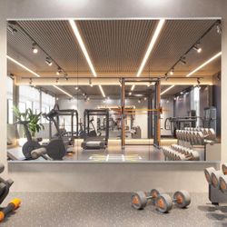 Home Gym Mirror, 67X24 Inch(Each)-3Pcs, Large Exercise Mirror, Frameless Full Body Mirror, Tempered Glass, Wall Mounted for Gym, Yoga, Bedroom, Dance 