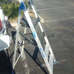 Werner 5.5' Ladder Aluminum With Tool Tray