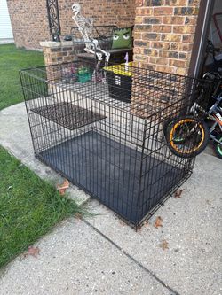XL Dog Crate
