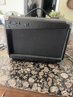 Esteban Guitar Amplifier 
