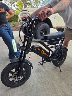 T16 URLIFE electric bike