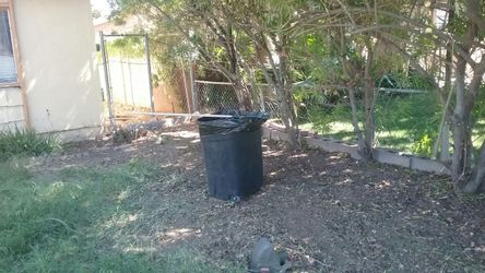 Do you need clean your yard just send me e message thanks.