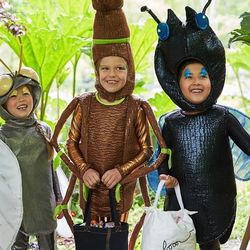 Pottery Barn Kids - Light Up Bug Halloween Costumes