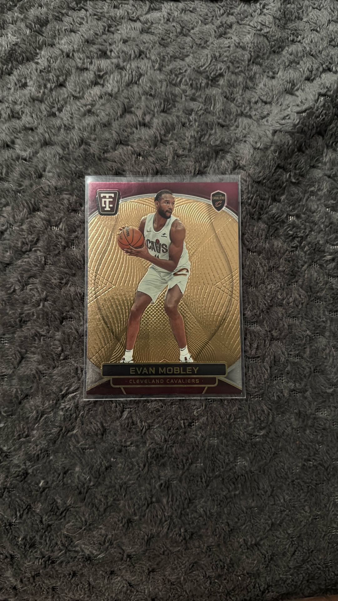 Evan Mobley Numbered 09/299