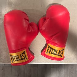 Boxing Gloves S/M