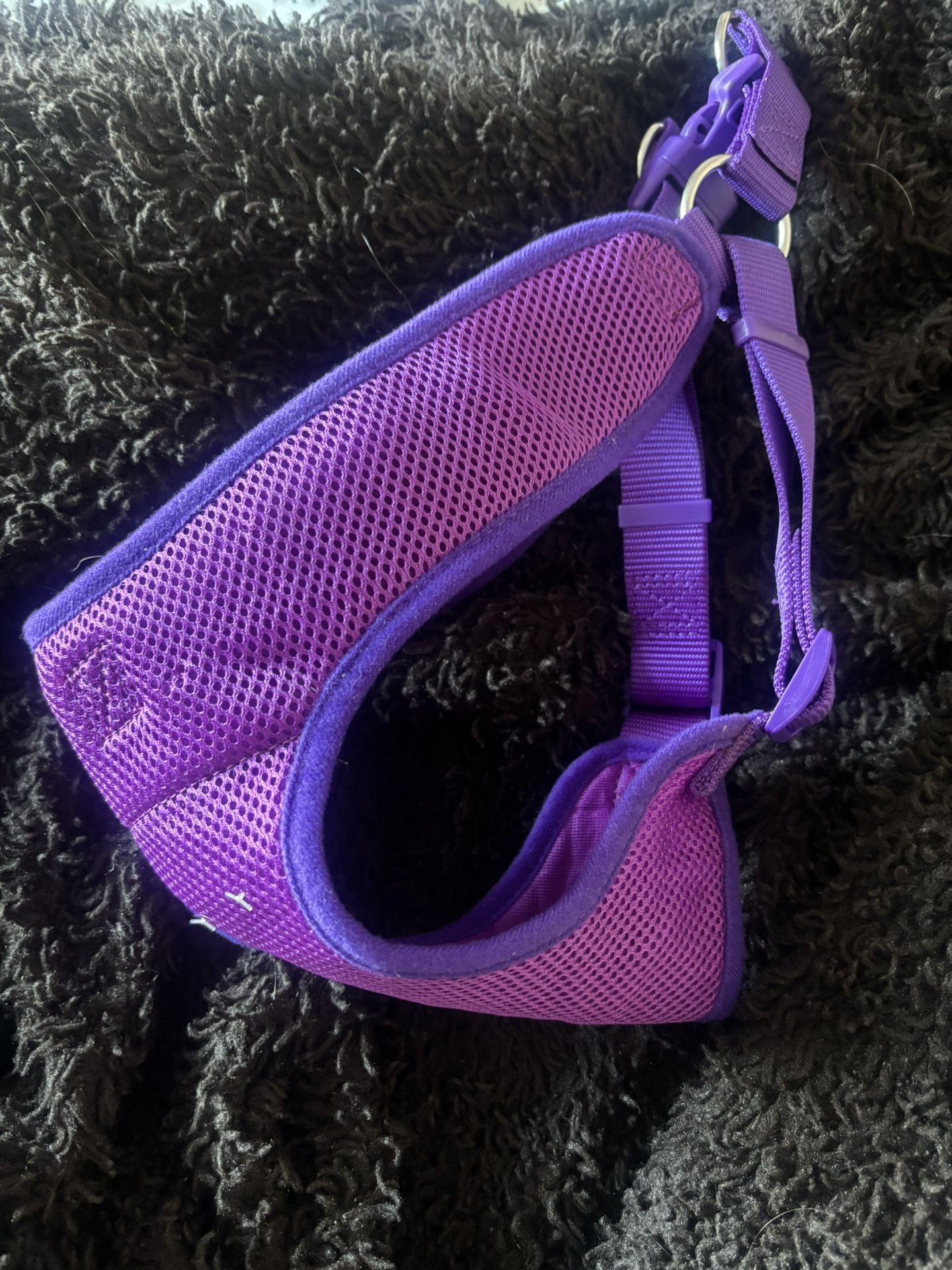 Large purple Pet Harness