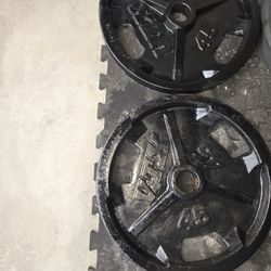 VTX 45lbs Olympic Plates Pair 2"holes