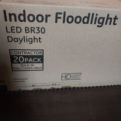 GE LED Indoor Floodlight BR30 Daylight Bulbs, 20 Packs Sold In One Case
