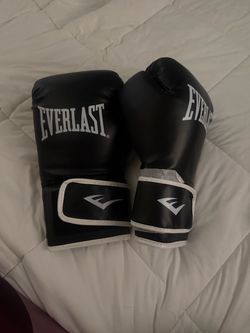 Everlast boxing gloves