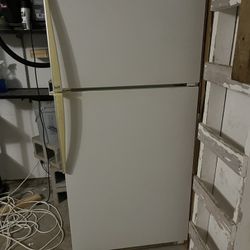 Garage Refrigerator 