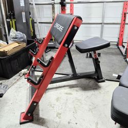 Preacher Curl Bench 