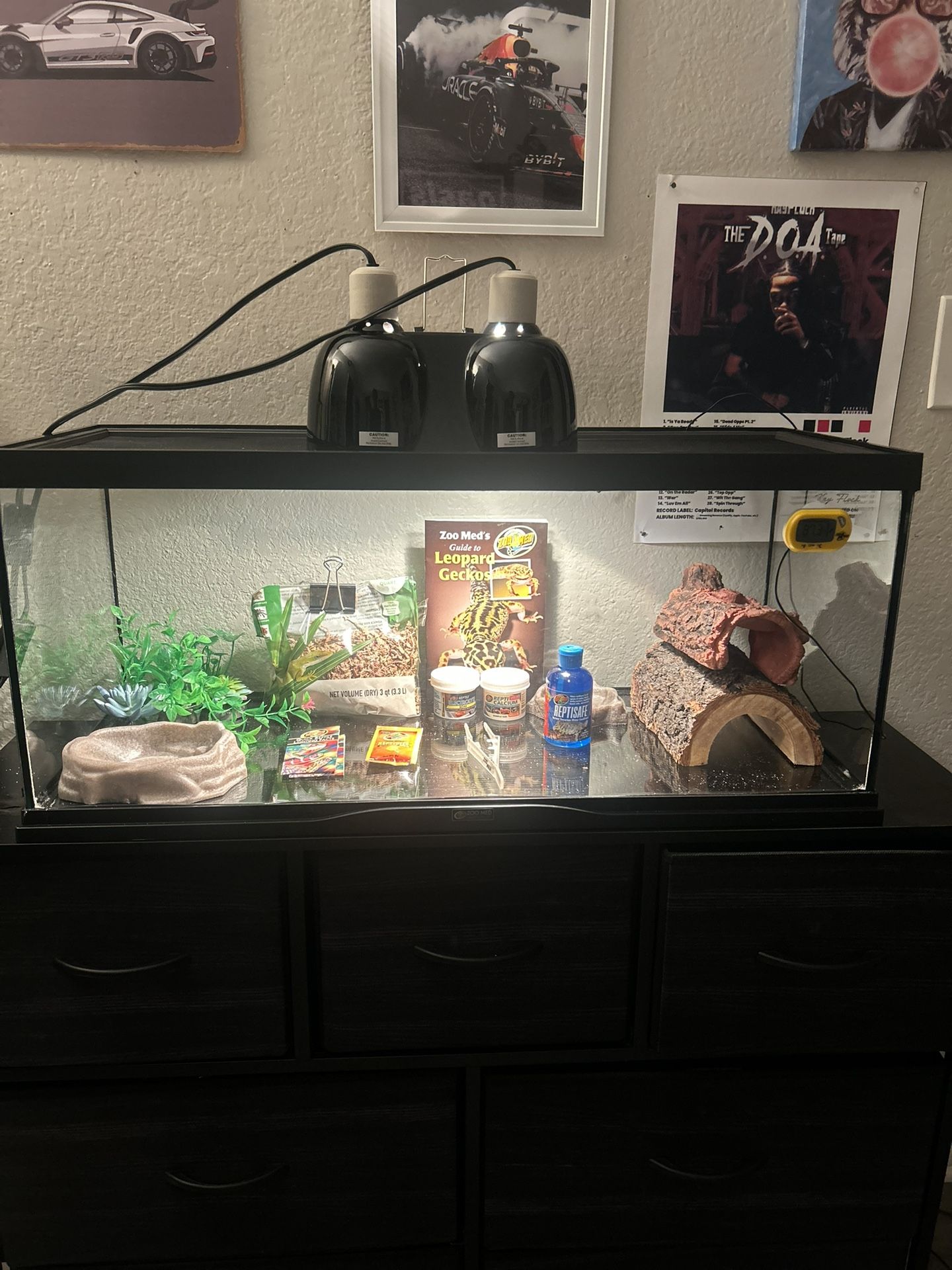 Leopard Gecko Complete Setup – Everything Included
