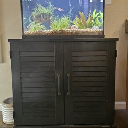 20g Planted Aquarium With Stand