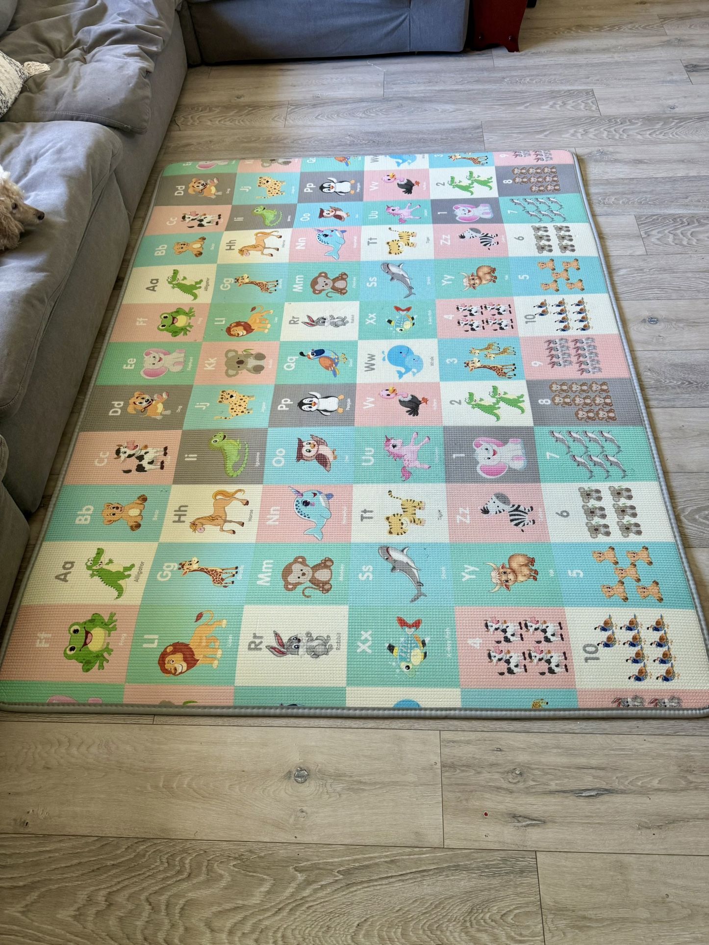 XL Children’s Learning & Activity Floor Mat 