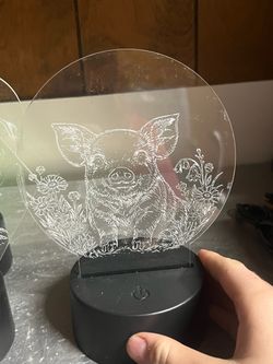 LED night lights