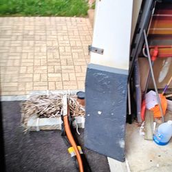 Catalina Tall Rig Rudder Tiller Sails For Sailboat Extras