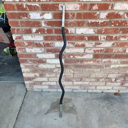 Curl Bar