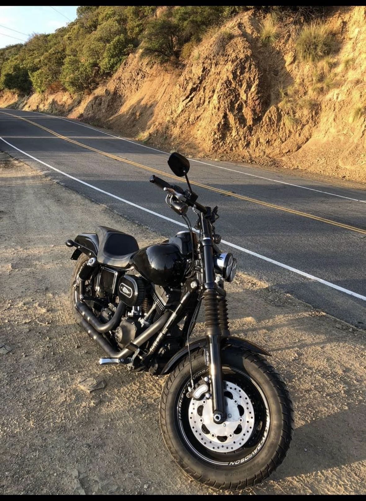2015 Harley Davidson Dyna Fat Bob