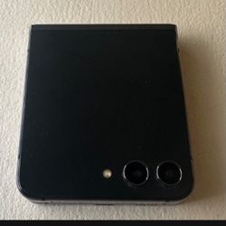 Galaxy Z Flip 5 256 Gb