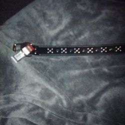 New 21-24 Inch Spiked Dog Collar 