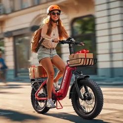 Hydraulic brake powerful torque sensor Ebike foldable electric bike