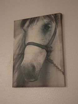 2 Horse canvases