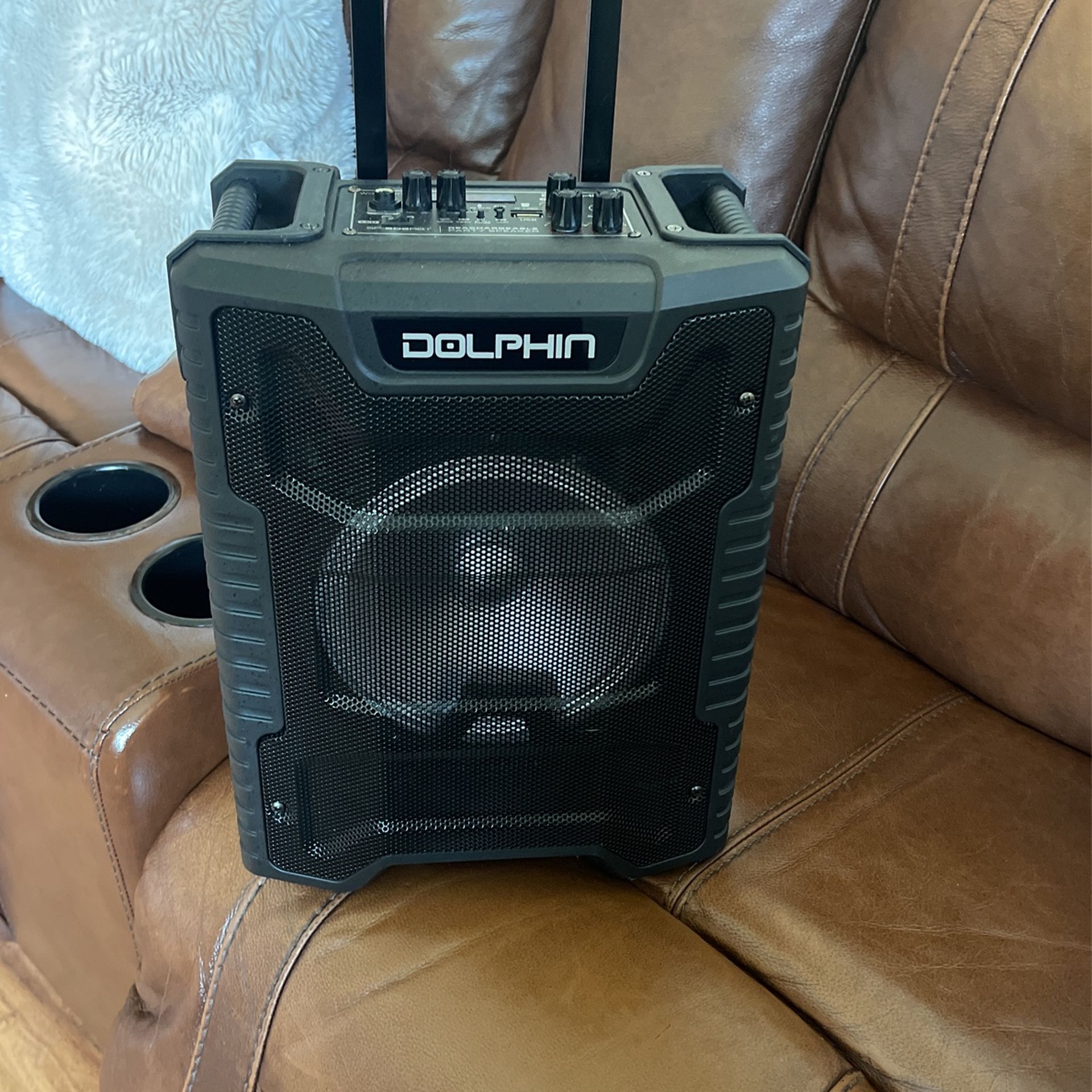 Dolphin - Main Image