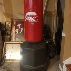 Portable Training Bag