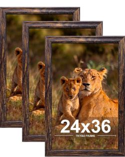Picture Frame set of 3, 24x36