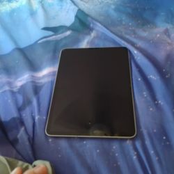 iPad 