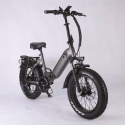 Electric Bike New