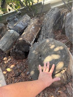 Weathered eucalyptus wood chunks